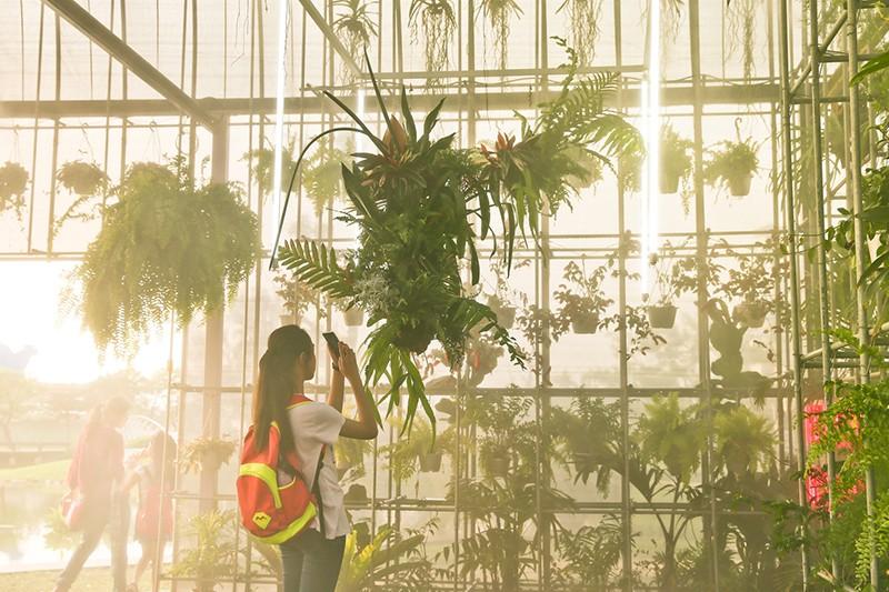 通过材料和结构的排布将气候“分开” —— 与植物共生的“温室之家”