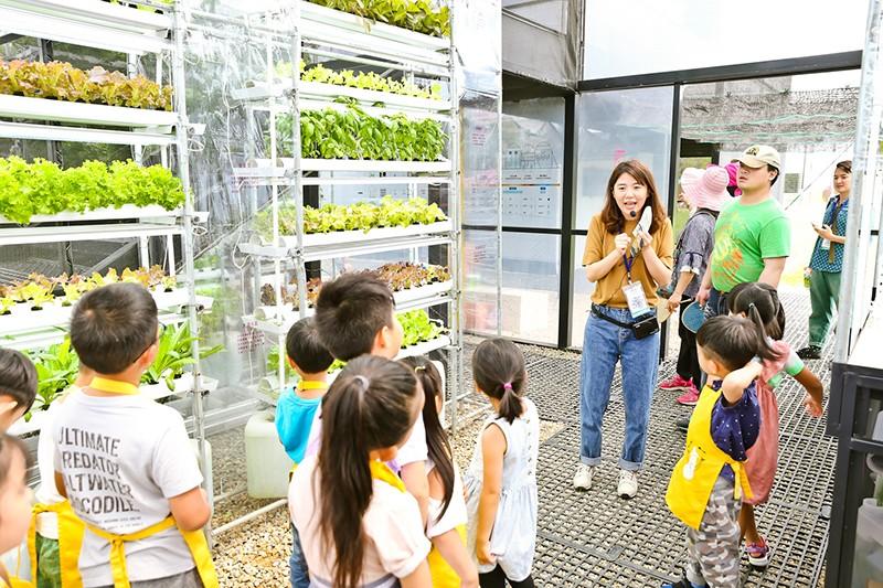 通过材料和结构的排布将气候“分开” —— 与植物共生的“温室之家”