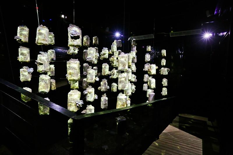 通过材料和结构的排布将气候“分开” —— 与植物共生的“温室之家”
