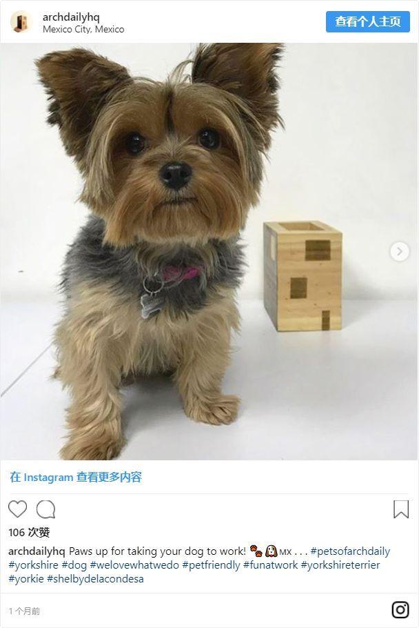 不爱拍照的网红不是好的建筑师！为建筑系学生精心挑选的50个Instagram主页