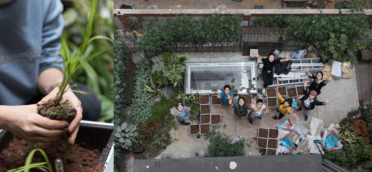 在城中村的上空构筑成一个新地表“Urban Mountain” —— 深圳“城上绿云”