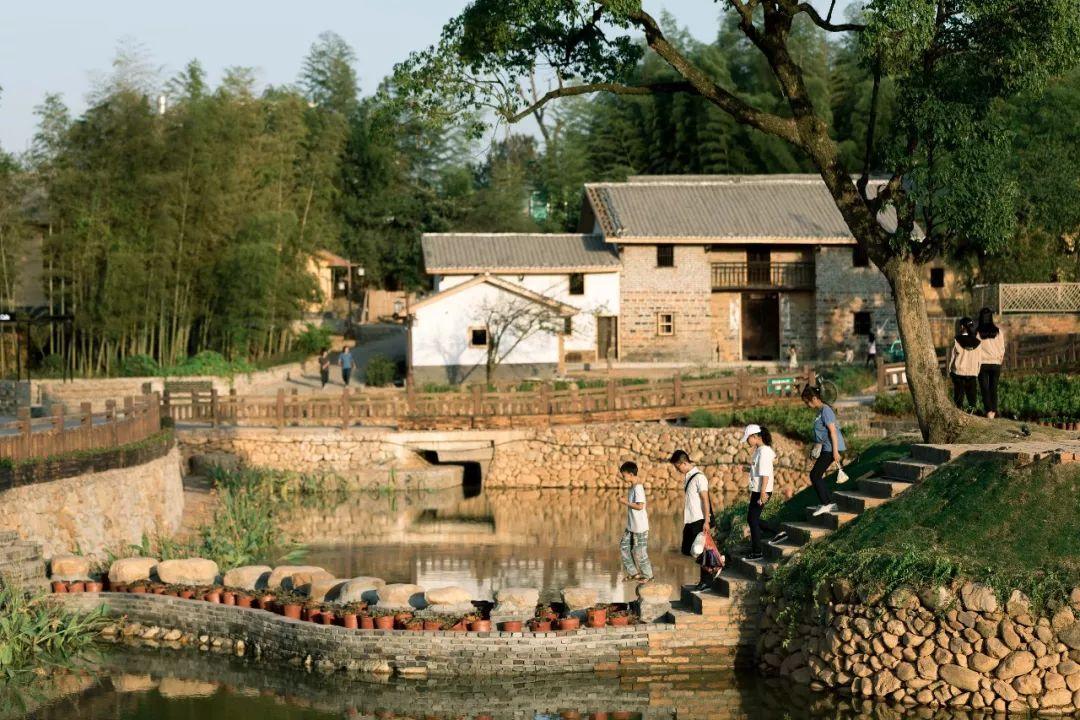 中国建筑师为什么开始沉迷乡建？