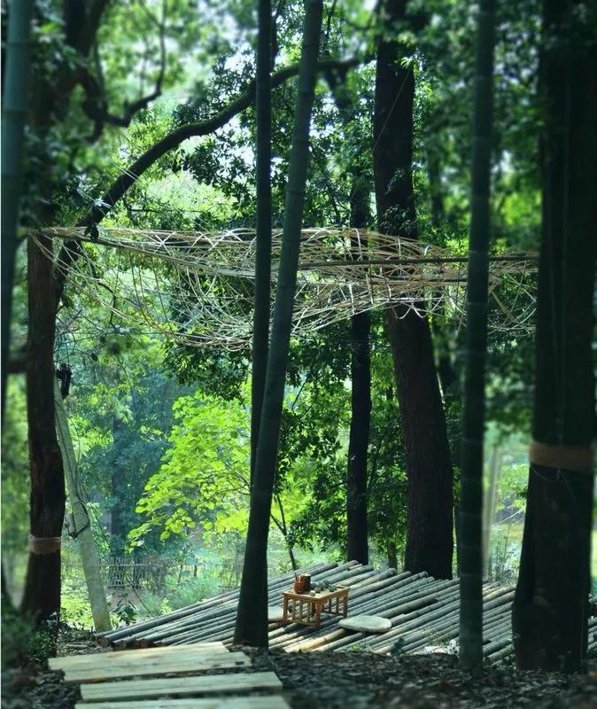 中国建筑师为什么开始沉迷乡建？