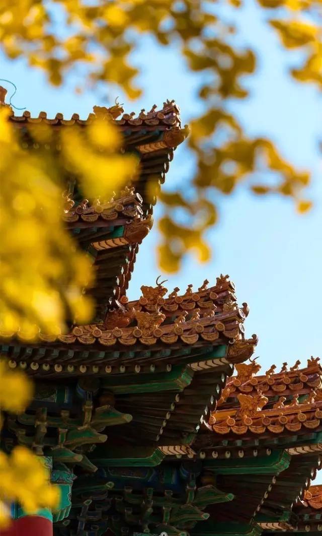 故宫设计师：明明是五千年的电影，我却从没有姓名