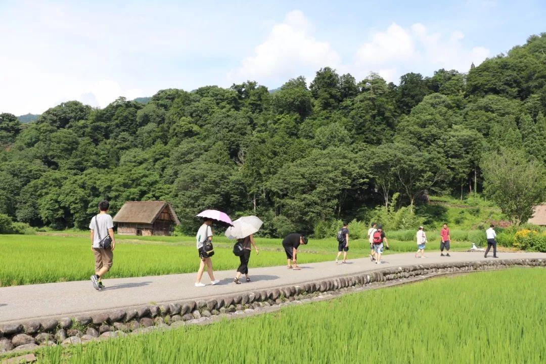 濑户内海建筑跳岛之旅