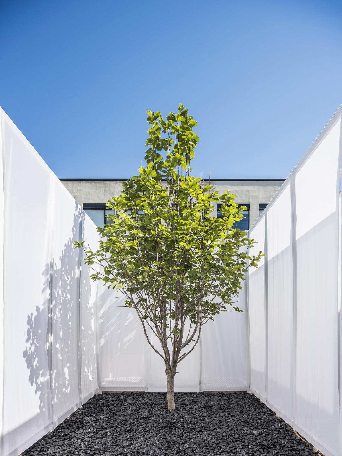 调整大小 4_Superimpose_Architecture_Shardisland_CO2_Pavilion_05.jpg