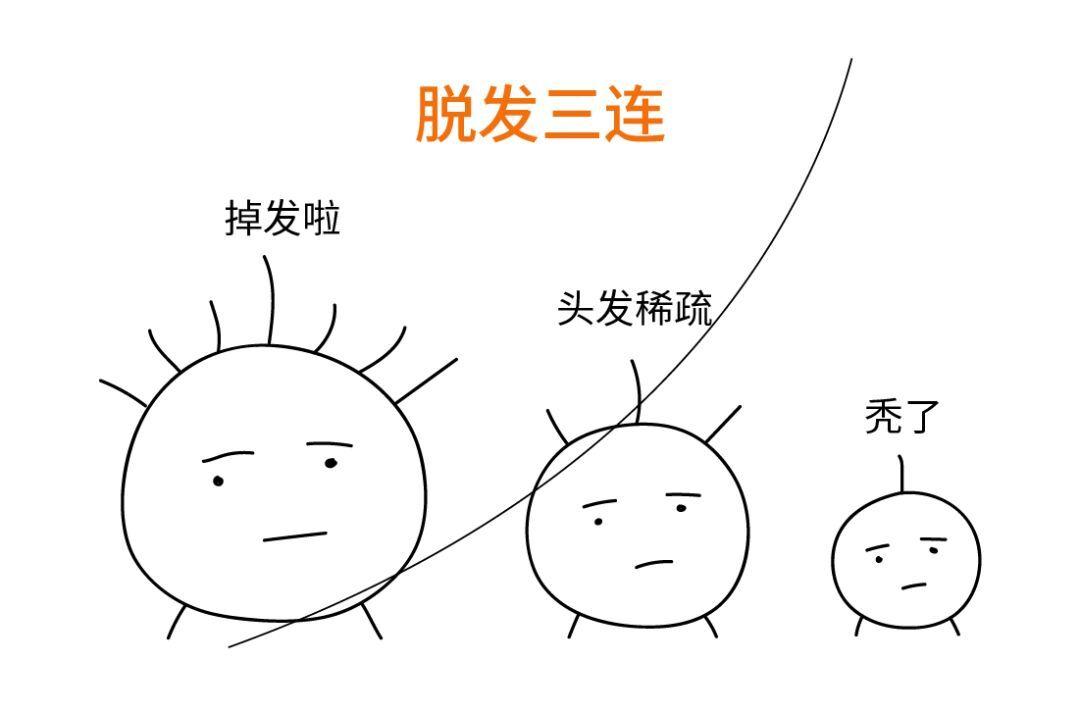 那些秃飞猛进的设计师