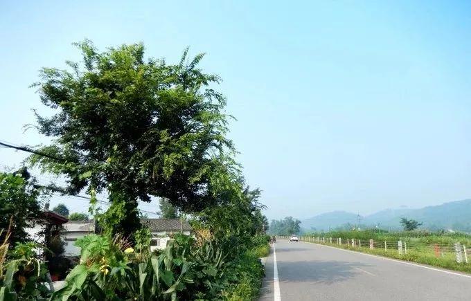 一个民宿建筑带火了一个“网红村”