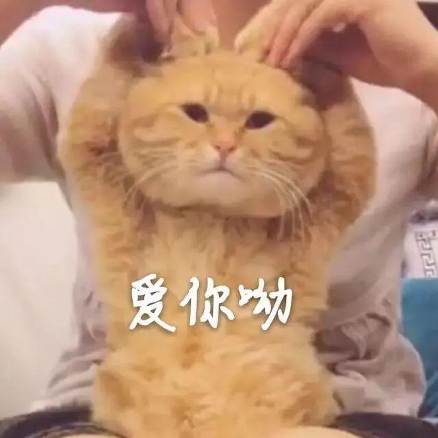 【教程】建模多年一直在用的好方法