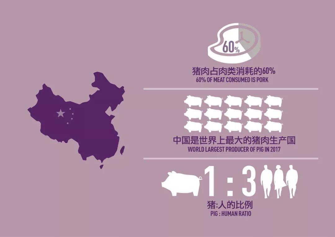 建筑师手里，“三只小猪”不仅能保护淡水，还能为15口人提供三餐能源