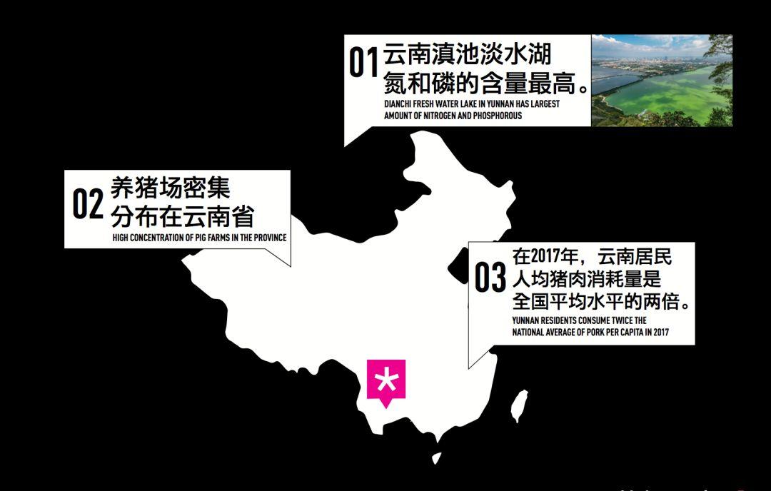 建筑师手里，“三只小猪”不仅能保护淡水，还能为15口人提供三餐能源