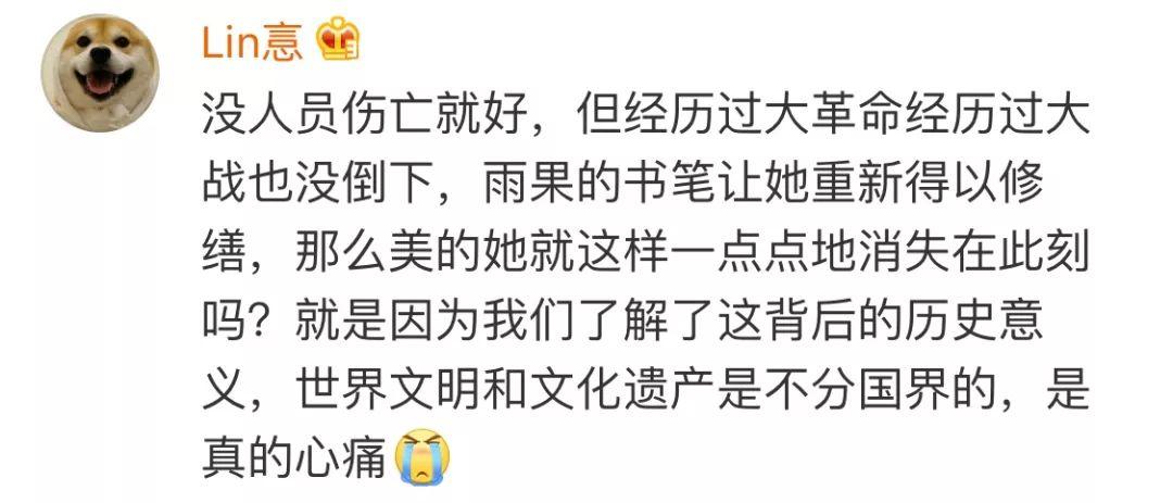 巴黎圣母院大火！850年古迹躲过战争的硝烟，却消失在和平年代