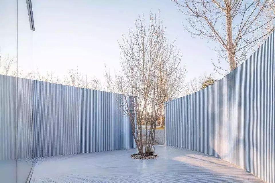 俞挺，如果做不成建筑师那我们也可以去当吃播