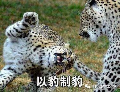 建筑师，我抄我自己