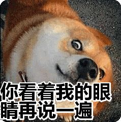 你对建筑的爱正在毁掉你的设计