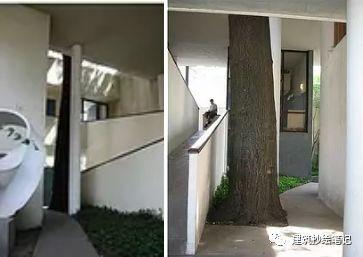 柯布西耶作品抄绘分析 | 抄什么建筑