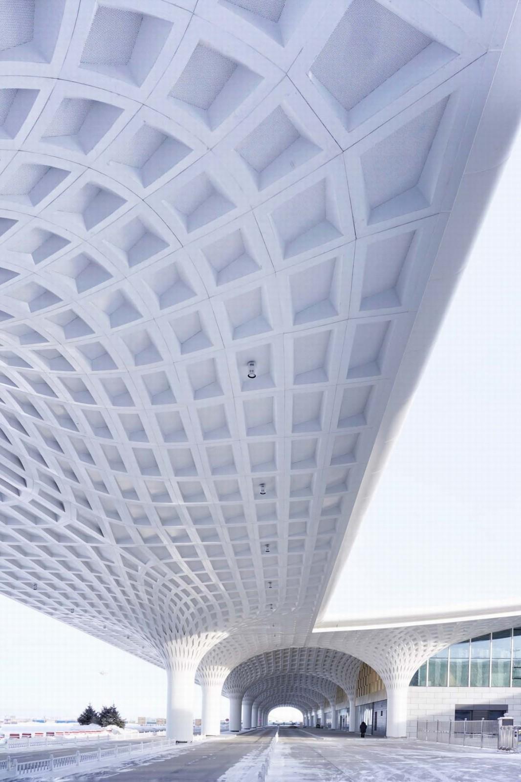 金色白桦林涌起的绵延的波浪：呼伦贝尔海拉尔机场扩建工程 / 中国建筑设计院一合建筑设计研究中心U10