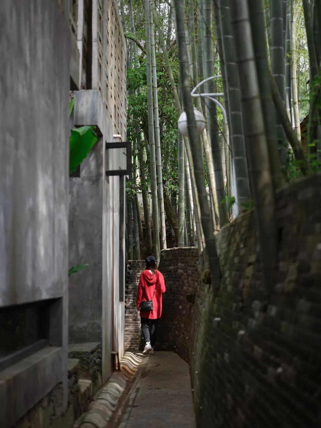 红砖美术馆之后，董豫赣在乡下建了座现代版“古典园林”
