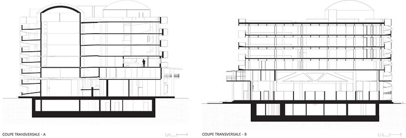 8_Transversal_cut.jpg