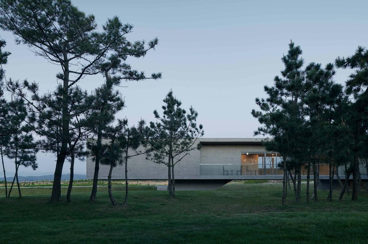 天鹅湖湿地公园景观廊及观鸟塔 / 迹·建筑事务所