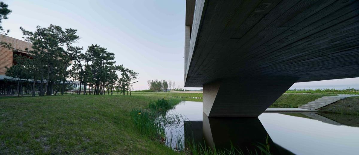 天鹅湖湿地公园景观廊及观鸟塔 / 迹·建筑事务所