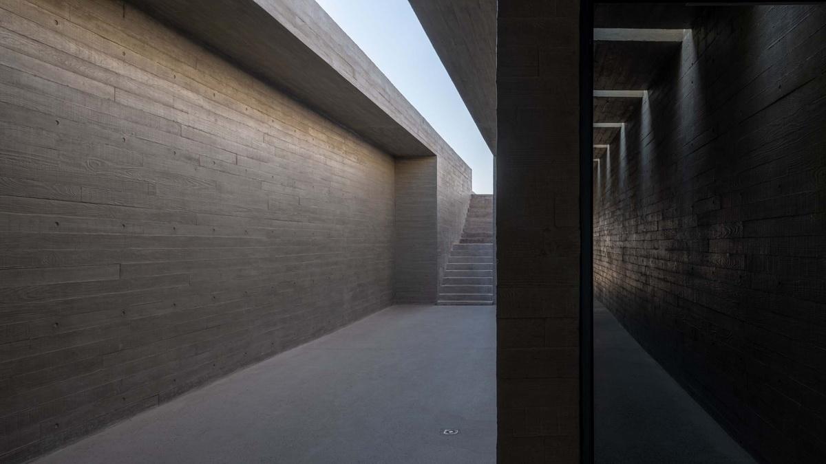 天鹅湖湿地公园景观廊及观鸟塔 / 迹·建筑事务所