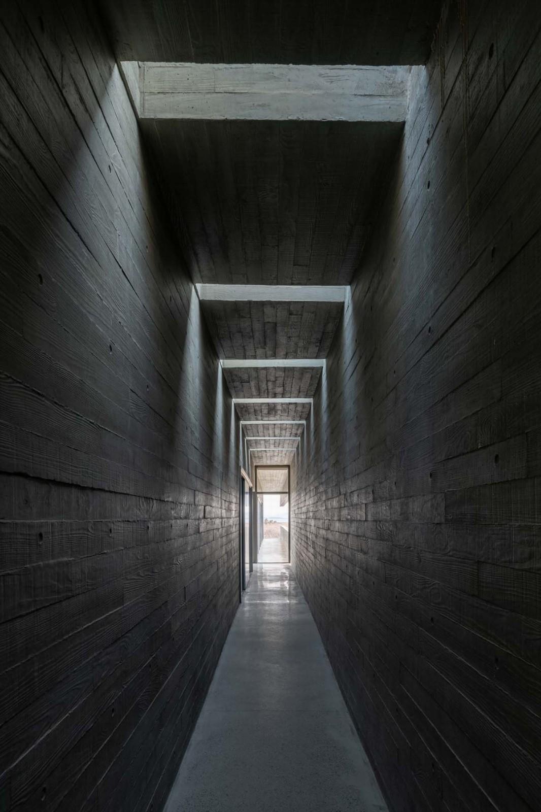 天鹅湖湿地公园景观廊及观鸟塔 / 迹·建筑事务所