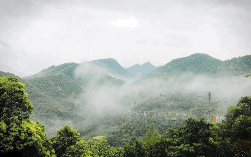 gif2.GIF