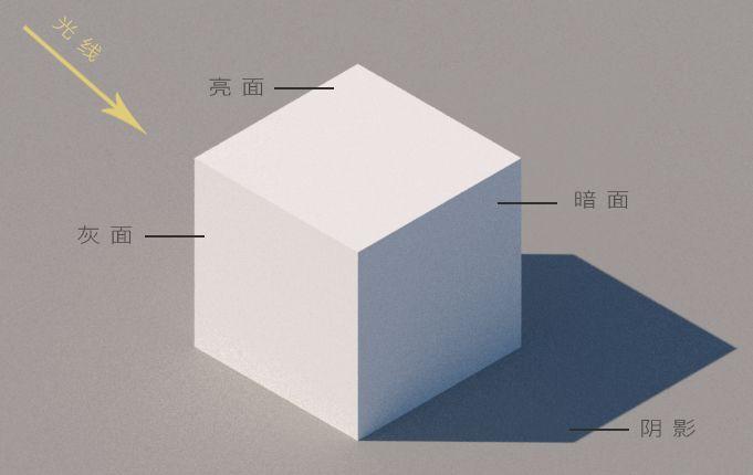 如何专业得拍摄并制作一张优质的模型照片？