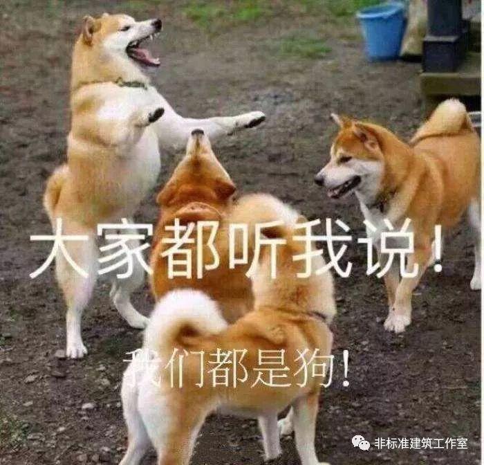 建筑师，你凭什么抢夺话语权？