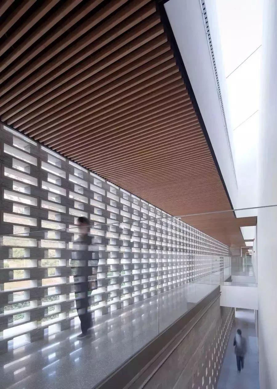 中国建筑师董功获颁法国建筑科学院院士