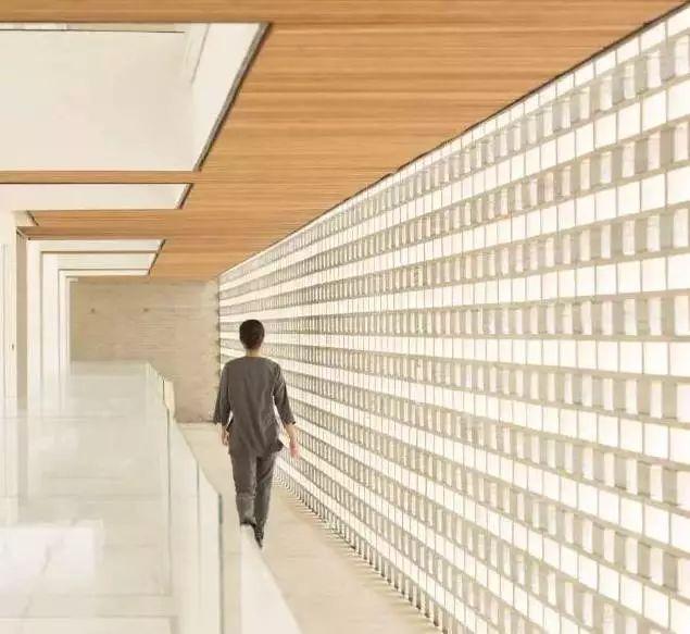 中国建筑师董功获颁法国建筑科学院院士