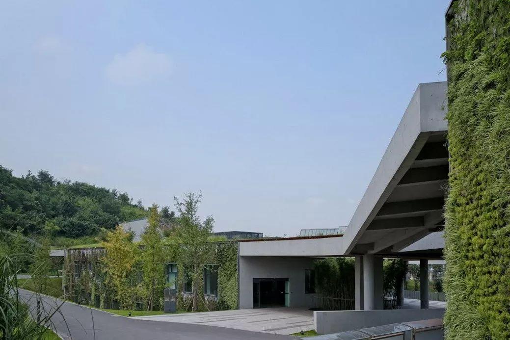中国建筑师董功获颁法国建筑科学院院士