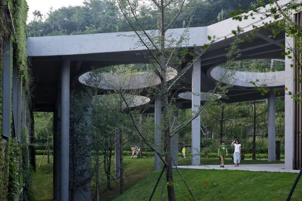 中国建筑师董功获颁法国建筑科学院院士