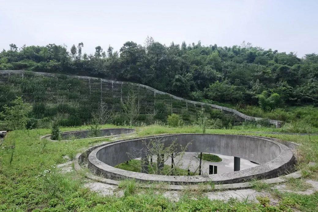 中国建筑师董功获颁法国建筑科学院院士