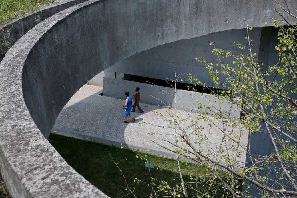 中国建筑师董功获颁法国建筑科学院院士