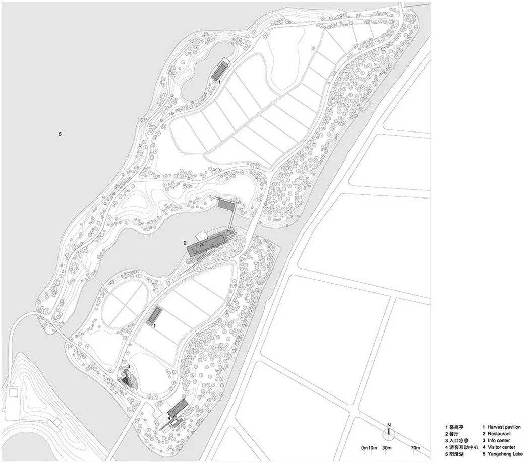 中国建筑师董功获颁法国建筑科学院院士