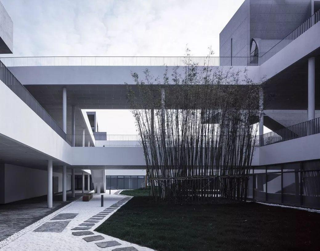 中国建筑师董功获颁法国建筑科学院院士