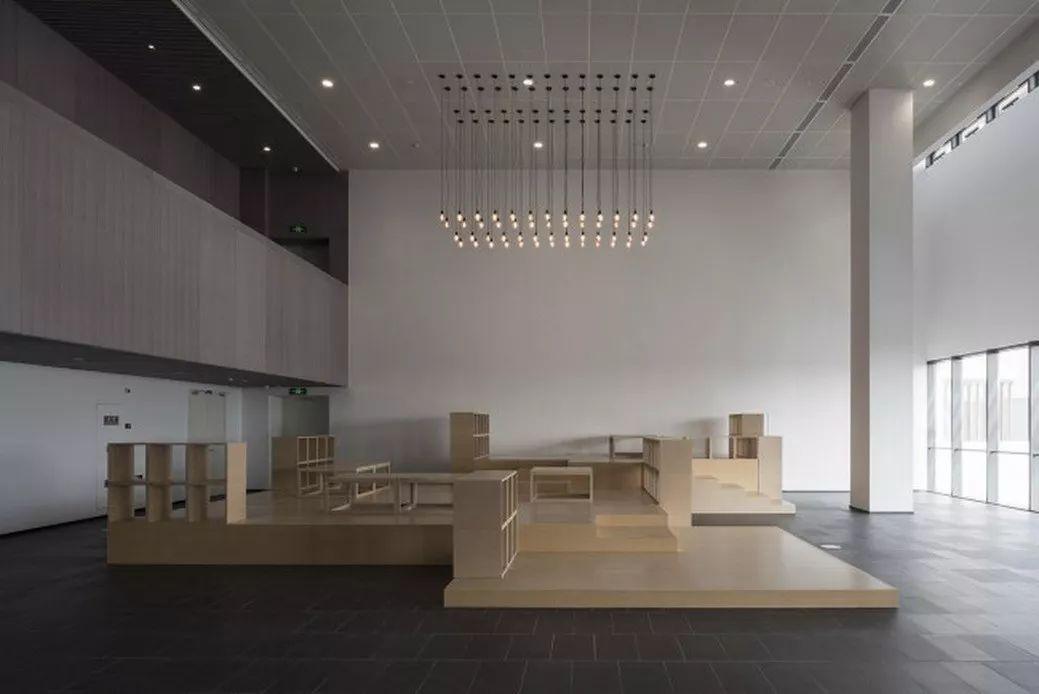 中国建筑师董功获颁法国建筑科学院院士