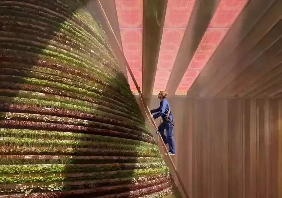 2020迪拜世博会，各国展馆“群魔乱舞”！大型综艺「建筑师的夏天」？！