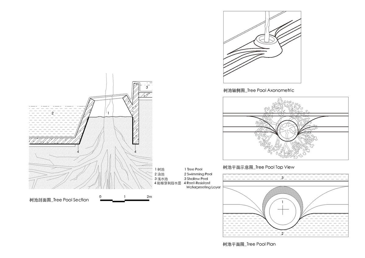 s12 _Tree_Pool_Detail_树池细节图.jpg