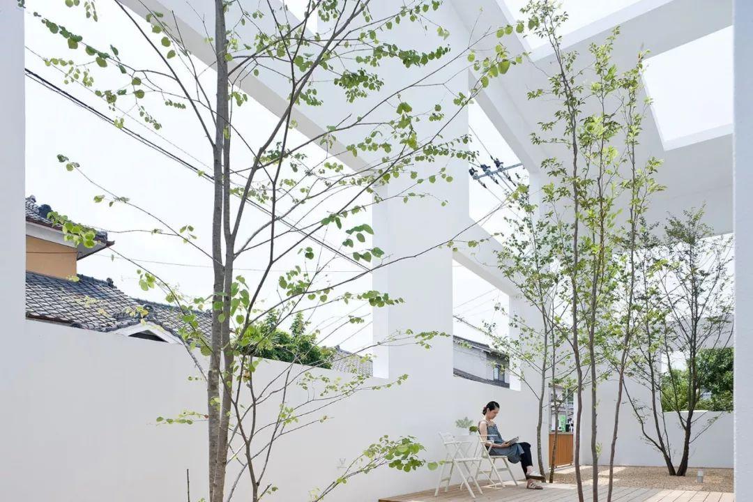 建筑是探索世界和人道的一种方式丨藤本壮介