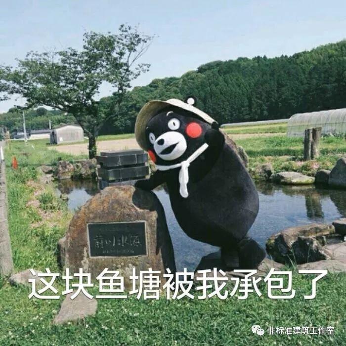 2020，我不想和建筑死磕了
