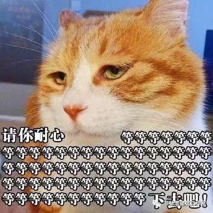 2020，我不想和建筑死磕了