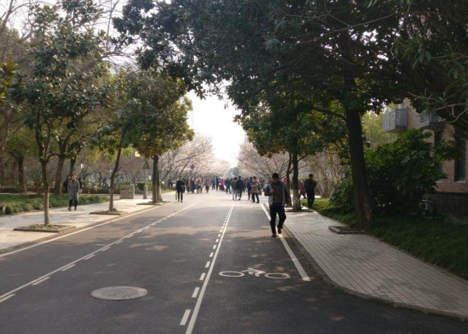 初试历史方向的我，同济复试逆袭全纪录