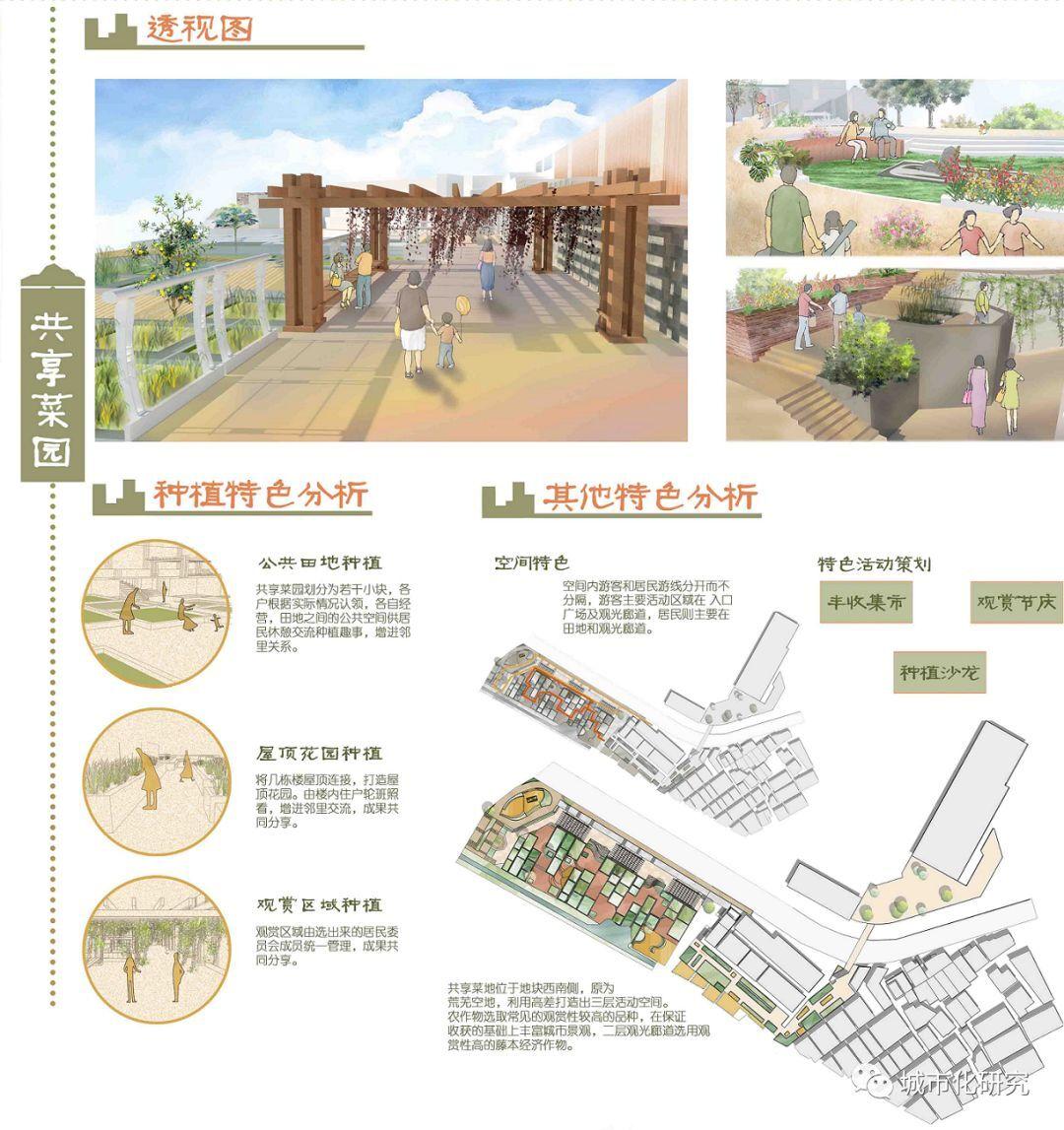 笑语声在地，青山影入城 | 2019年城市设计课程作业评优佳作奖作品