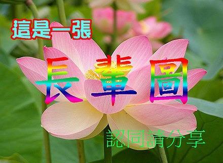 恒大辣眼设计背后，我看到建筑师话语权的式微