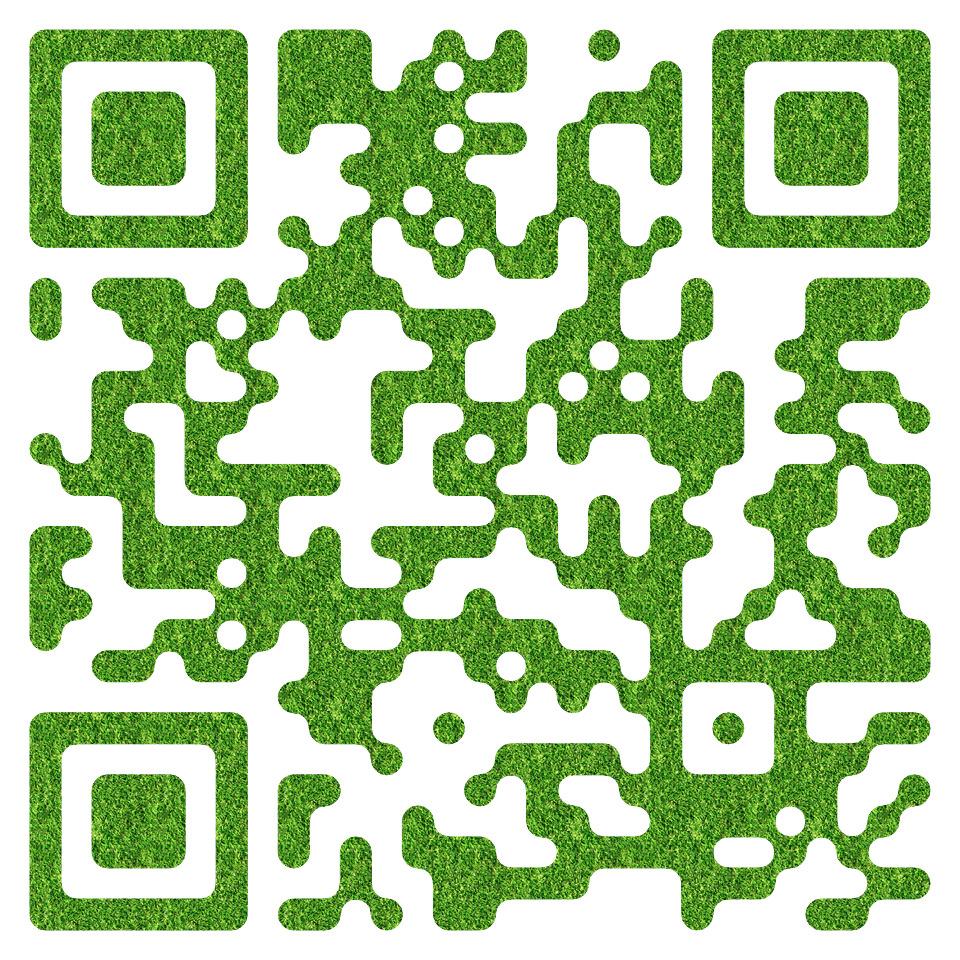 1587546608643058.jpg