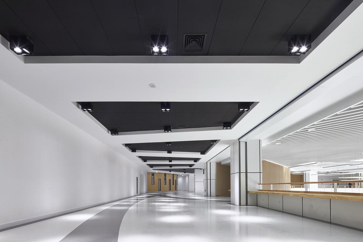 复旦江湾校区新建综合体育馆 / 同济大学建筑设计研究院