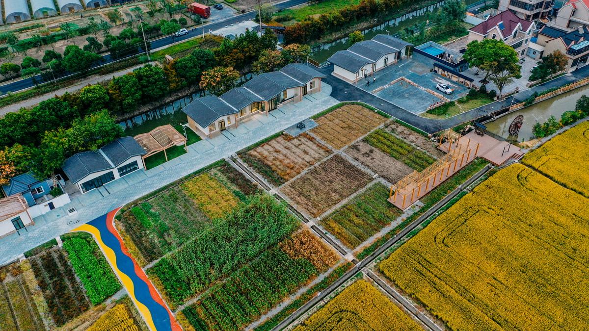 8-场地鸟瞰：粮田、建筑、河道_调整大小.jpg